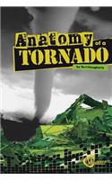 Anatomy of a Tornado