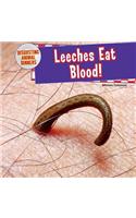 Leeches Eat Blood!