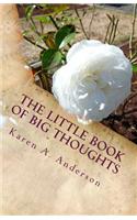 The Little Book of BIG Thoughts -- Vol. 4: (4 The Little Book of Big Thoughts)