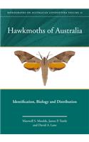 Hawkmoths of Australia