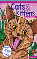 Cats & Kittens Coloring Book