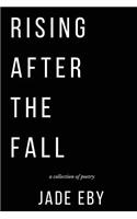 Rising After the Fall