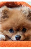 Pomeranian January Notebook Pomeranian Record, Log, Diary, Special Memories, To Do List, Academic Notepad, Scrapbook & More