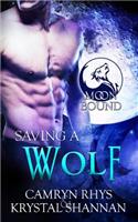 Saving a Wolf