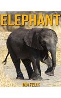 Elephant: Children Book of Fun Facts & Amazing Photos on Animals in Nature - A Wonderful Elephant Book for Kids aged 3-7
