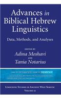 Advances in Biblical Hebrew Linguistics
