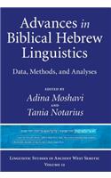 Advances in Biblical Hebrew Linguistics: Data, Methods, and Analyses