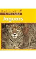 Jaguars
