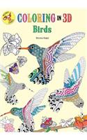 Coloring in 3D Birds