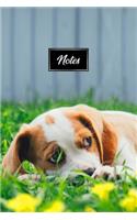 Beagle Dog Pup Puppy Doggie Notebook Bullet Journal Diary Composition Book Notepad - Tired Baby On Lawn: Cute Animal Pet Owner Composition Book with 100 Unruled Plain Blank Paper Pages in 6" x 9" Inch