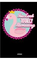 You Look Totally Flamazing Artbook: Flamingo Flamazing Pink Bird Sketchbook: 6x9 A5 Blank Art Book Or Drawing Journal For Art Student Teacher Professor