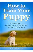How To Train Your Puppy: Building A Perfect Friendship With Your Pup