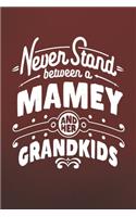 Never Stand Between A Mamey And Her Grandkids: Family life Grandma Mom love marriage friendship parenting wedding divorce Memory dating Journal Blank Lined Note Book Gift