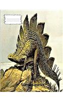 Stegosaurus Dinosaur wide rule lined paper Composition Book: Dinosaur lovers, Used by students in elementary and middle schools, For Homeschooling, teachers and school offices, Perfect to keep all notes for cl