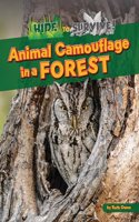 Animal Camouflage in a Forest: (Hide to Survive!)