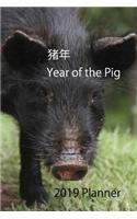 &#29482; &#24180; Year of the Pig 2019 Planner: Chinese New Year Black Pig Diary and Journal