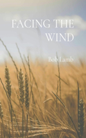 Facing the Wind
