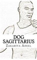 Dog Sagittarius