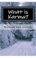 What Is Karma?