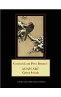 Goshawk on Pine Branch