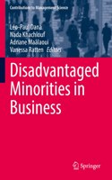 Disadvantaged Minorities in Business