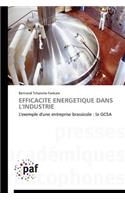 Efficacité Energétique Dans l'Industrie