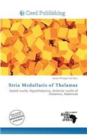 Stria Medullaris of Thalamus