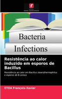 Resistência ao calor induzido em esporos de Bacillus