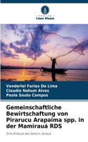 Gemeinschaftliche Bewirtschaftung von Pirarucu Arapaima spp. in der Mamirauá RDS