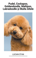Pudel, Cockapoo, Goldendoodle, Maltipoo, Labradoodle și Multe Altele