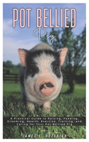 Pot Bellied Pig