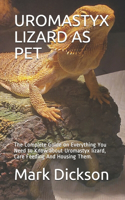 Uromastyx Lizard as Pet