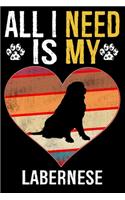 All I Need Is My Labernese