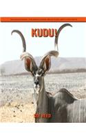 kudu! An Educational Children's Book about kudu with Fun Facts