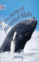 Journey of Humpback Whales