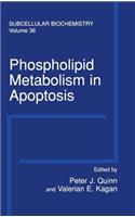 Phospholipid Metabolism in Apoptosis