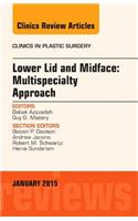 Lower Lid and Midface: Multispecialty Approach, an Issue of Clinics in Plastic Surgery