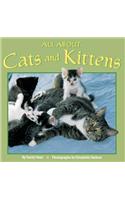 All about Cats and Kittens