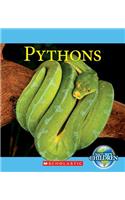 Pythons