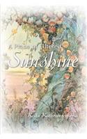 Place of Filtered Sunshine