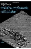 Gel Electrophoresis of Proteins