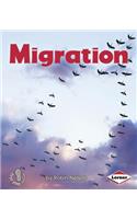 Migration: (First Step Nonfiction — Discovering Nature's Cycles)