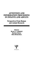 Attention and information Processing in infants and Adults