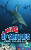Shiver of Sharks and Other Ocean Animal Groups