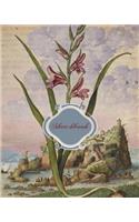 Sketchbook: Beautiful Vintage Botanical Cover Sketchbook, 8 x 10, 120 Blank Unlined Pages, Artist Sketchbook For Drawing, Doodling, Sketching, Designing