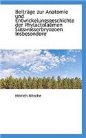 Beitr GE Zur Anatomie Und Entwickelungsgeschichte Der Phylactolaemen S Sswasserbryozoen Insbesondere: (German)