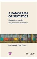 Panorama of Statistics