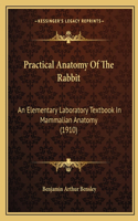 Practical Anatomy Of The Rabbit: An Elementary Laboratory Textbook In Mammalian Anatomy (1910)(English)