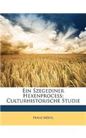 Ein Szegediner Hexenprocess: Culturhistorische Studie