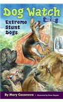 Extreme Stunt Dogs